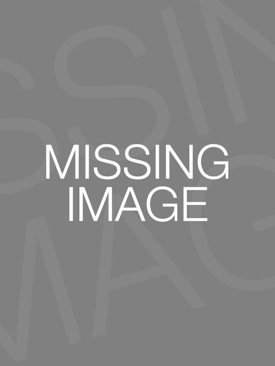 Missing Image